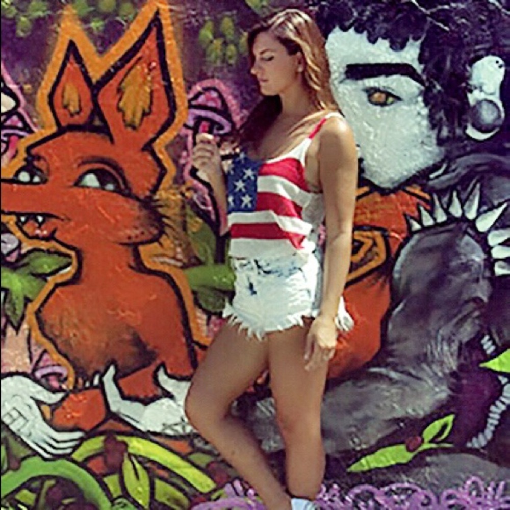 American flag crop top || Mesh back